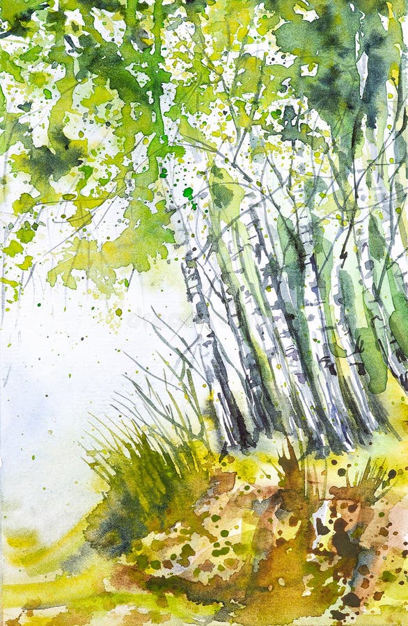 Paysage russe de forêt avec de beaux bouleaux dans une clairière