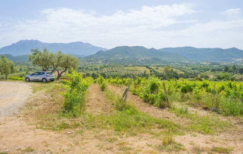Paysage scénique des collines vertes et des montagnes rocheuses de l'île de la Sardaigne image stock Paysage scénique des collines vertes et des montagnes rocheuses de l'île de la Sardaigne image stock