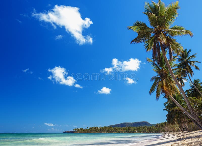 Paysage tropical de paradis photo stock Paysage tropical de paradis photo stock