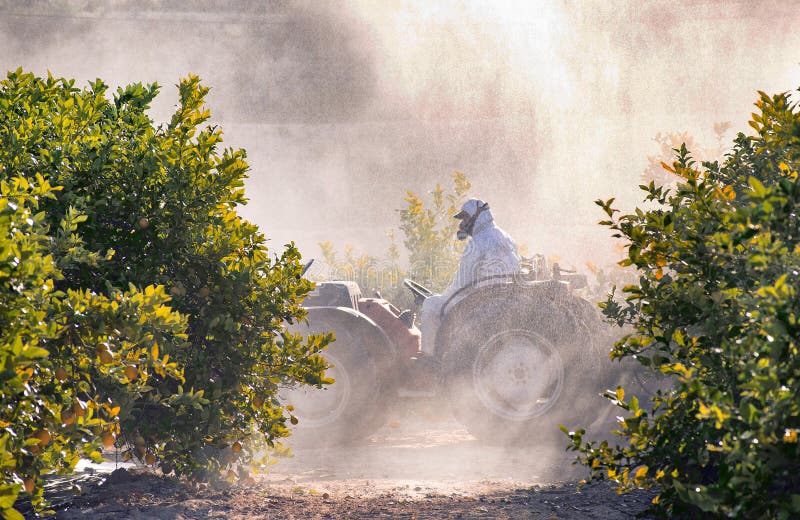 Pazioini spruzzatori e insetticidi per la piantagione di limoni in Spagna Fumigazione a base di insetticida di erbe Organico ecol