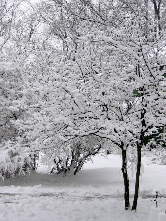 Terra do Natal imagem de stock royalty free