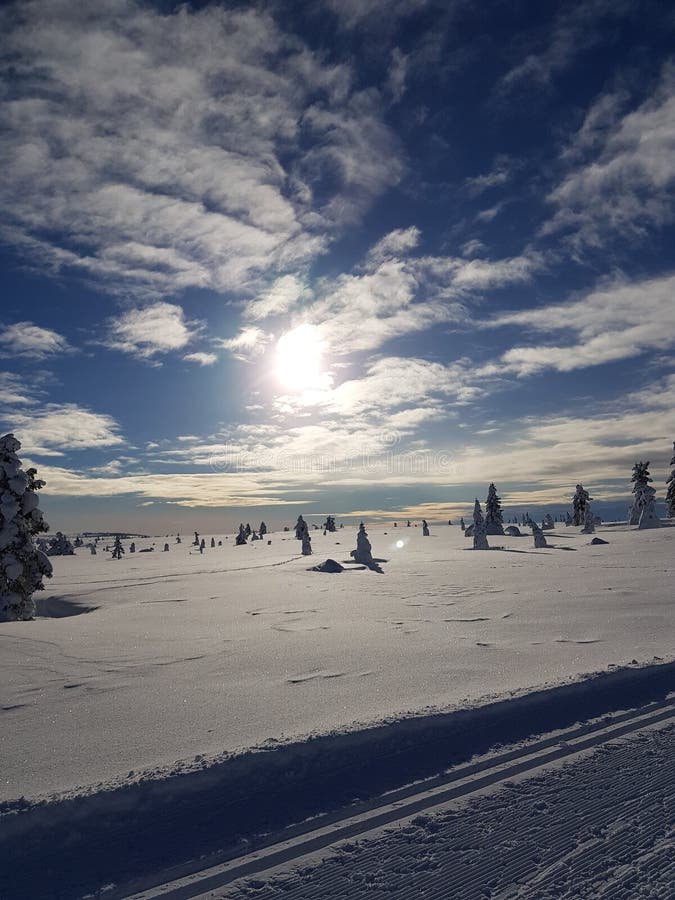 País de las maravillas del invierno día soleado en el rastro del esquí del campo a través fotografía de archivo libre de regalías País de las maravillas del invierno día soleado en el rastro del esquí del campo a través fotografía de archivo libre de regalías