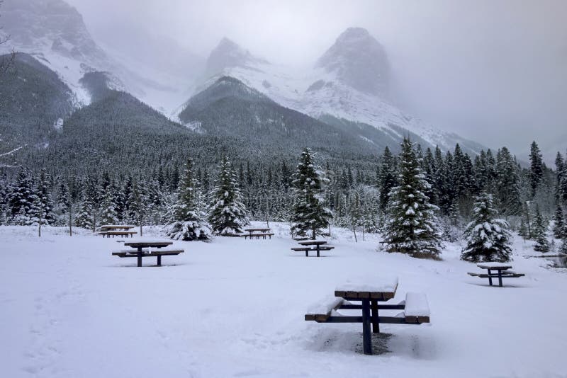 País frio nevado Canmore Alberta Canada do inverno da área de piquenique foto de stock royalty free País frio nevado Canmore Alberta Canada do inverno da área de piquenique foto de stock royalty free