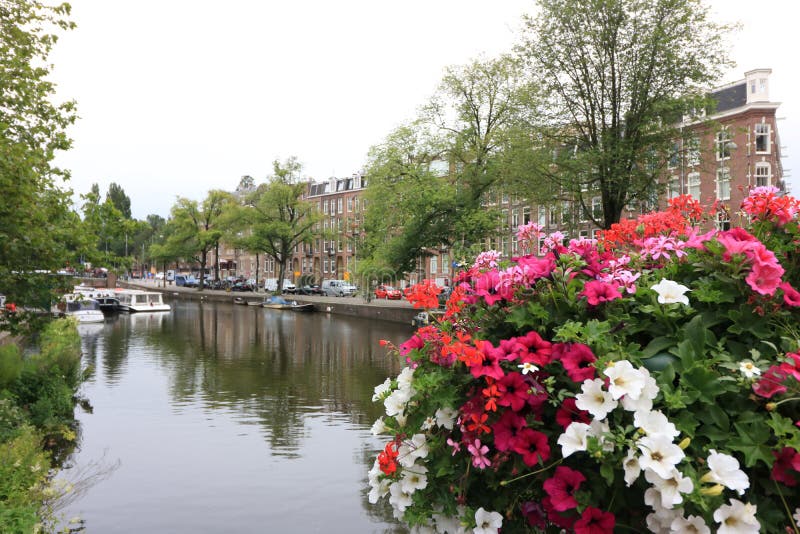 Pałace dzielnicy De Pijp zbudowanej w XIX wieku. Amsterdam, Holandia O lipcu 2019 Pałace dzielnicy De Pijp zbudowane w XIX wieku na podstawie projektów architekta Hendrika Petrusa Berlage'a Kwiaty i kanał