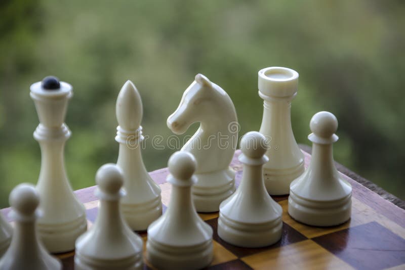 Checkmate é Um Jogo De Xadrez. Figuras De Xadrez. Posicionamento Das Peças  Na Placa Foto de Stock - Imagem de partes, derrota: 227998534