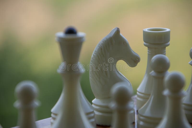 Checkmate é Um Jogo De Xadrez. Figuras De Xadrez. Posicionamento Das Peças  Na Placa Foto de Stock - Imagem de partes, derrota: 227998534