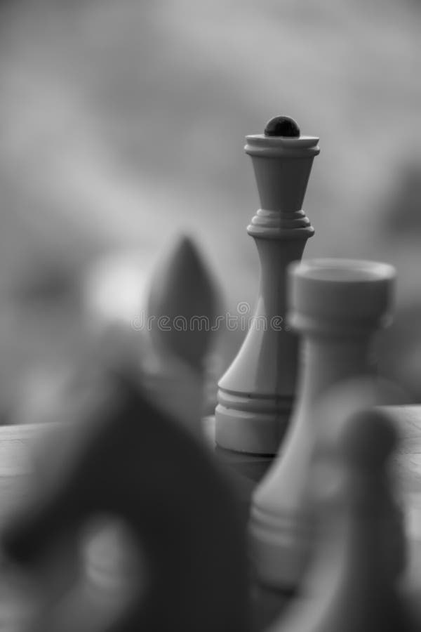 Checkmate é Um Jogo De Xadrez. Figuras De Xadrez. Posicionamento Das Peças  Na Placa Foto de Stock - Imagem de partes, derrota: 227998534