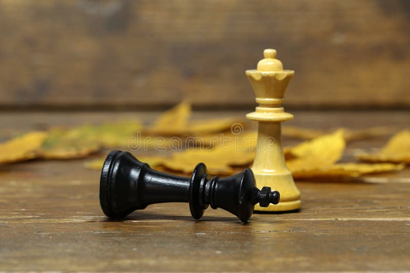Peça de xadrez de madeira rei derrotada por peça de xadrez bispo