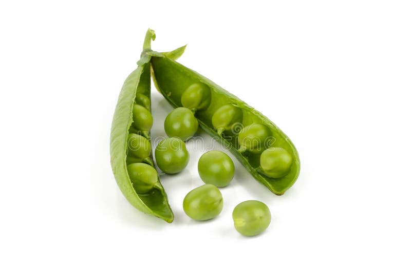 Green Peas stock image. Image of nature, grow, food, grain 40197261