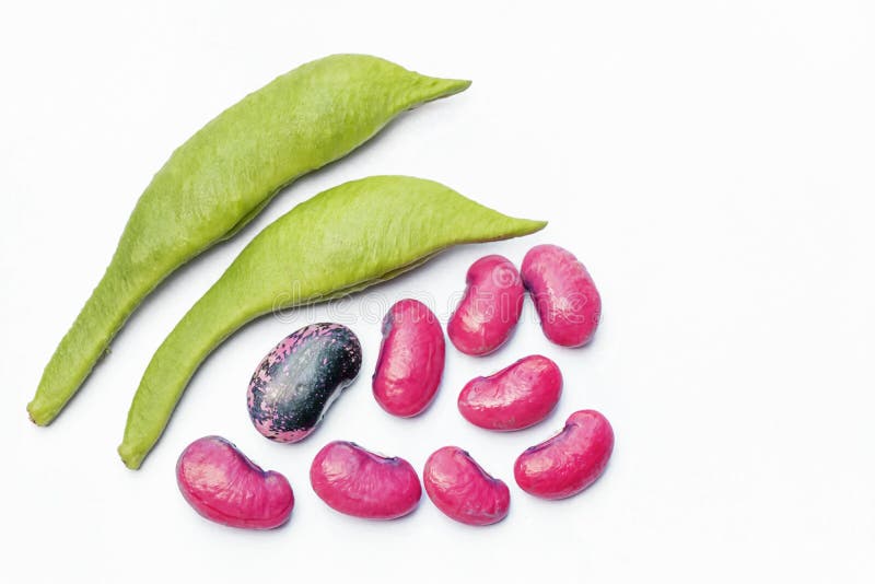 Close Up of Seeds of Pea Bean with Different Varieties. Stock Image