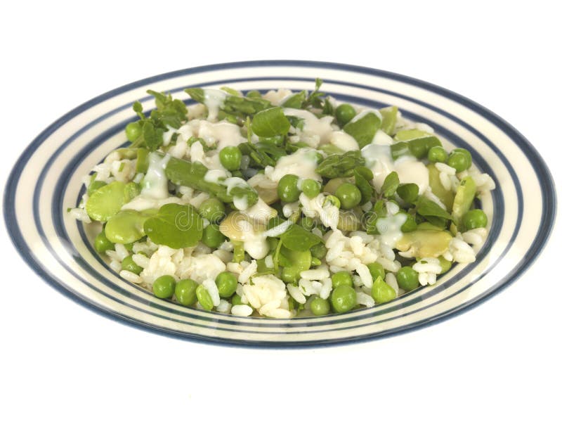 Pea Broad Bean and Asparagus Risotto Stock Photo Image of healthy