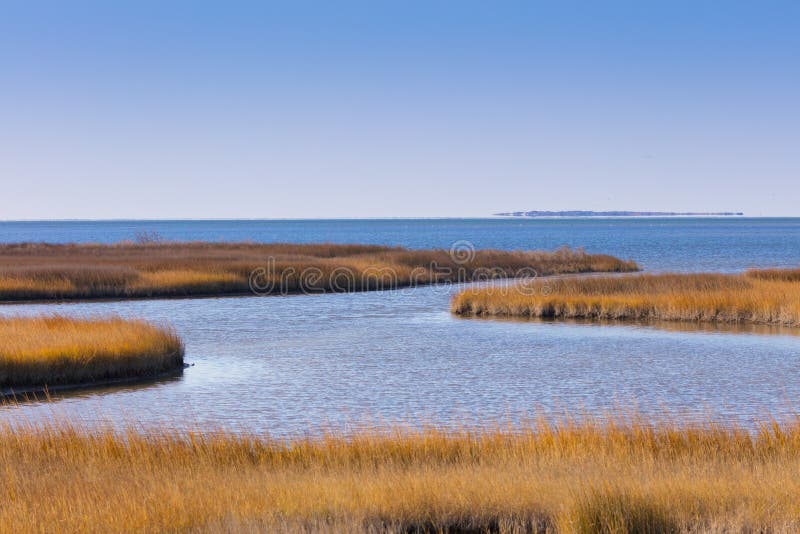Pea Island NWR fotografie stock libere da diritti Pea Island NWR fotografie stock libere da diritti