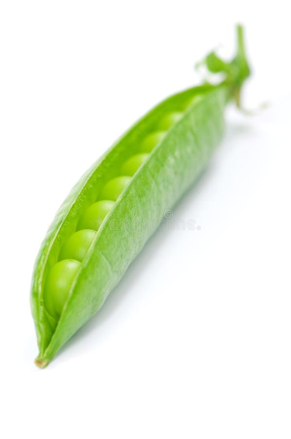 Pea pod