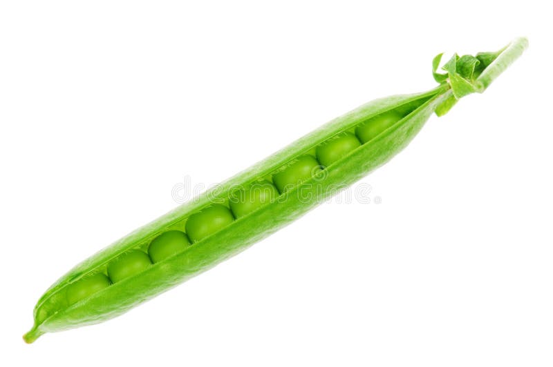 Pea pod