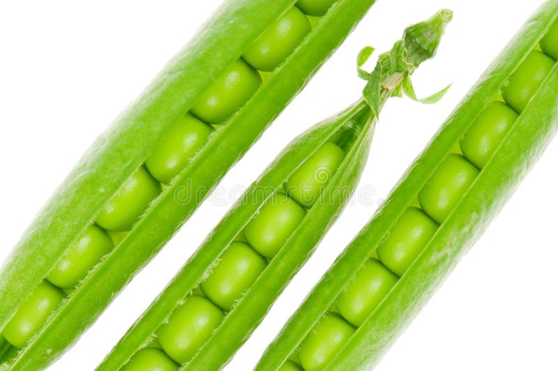 Pea pod