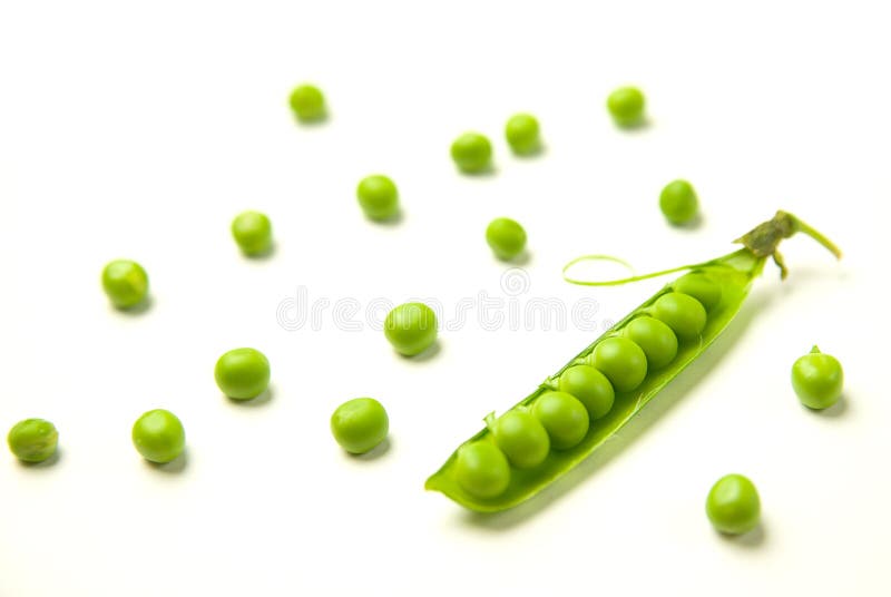 Pea Pod and Pea Seeds on White Stock Image Image of chickpea, eating