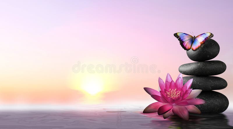 Peace and harmony. Stacked stones, lotus flower in water and beautiful butterfly. Banner design with space for text