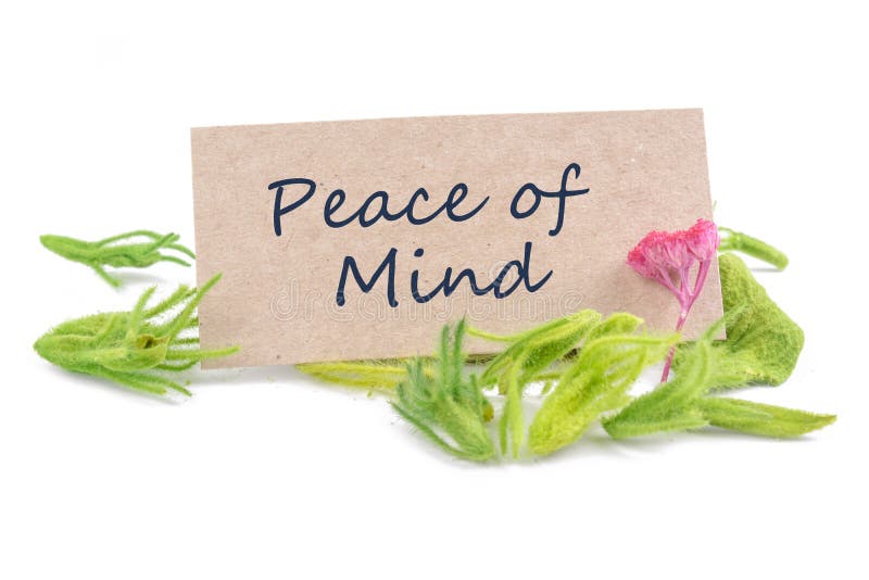 Peace of mind text on card with dried flower isolated on white background