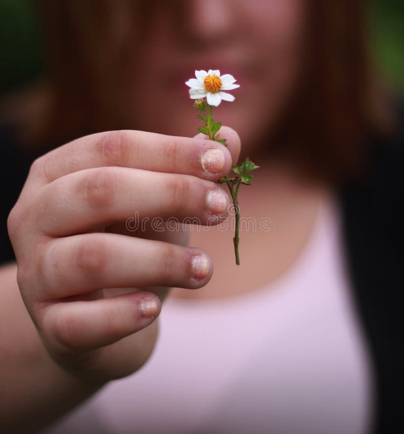Peace Offering stock photo. Image of garden, flower, stubby 30757036