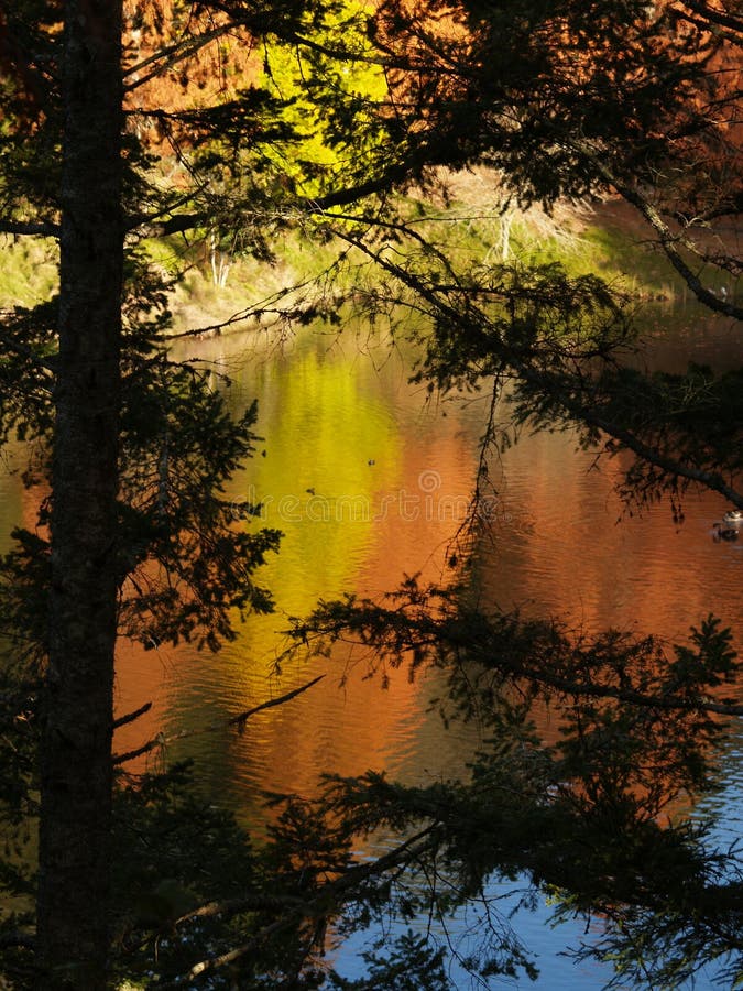 Peaceful autumn colours(2)