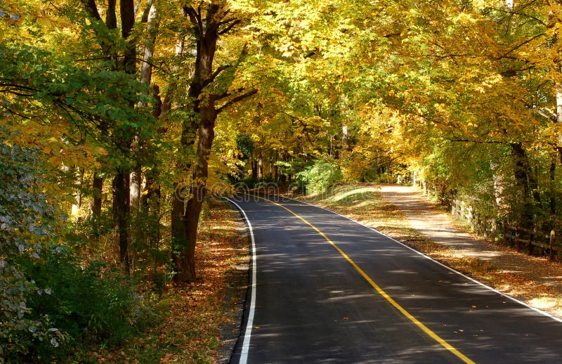 Peaceful autumn lane