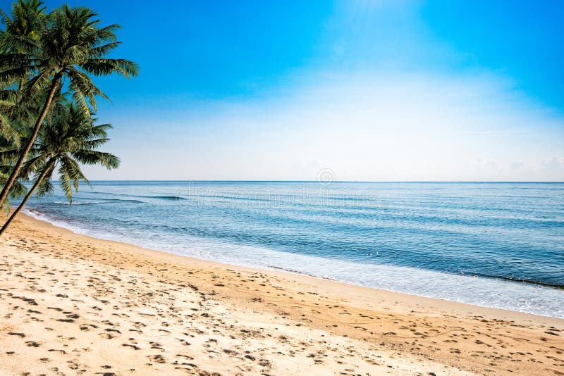 A peaceful beach scene in Thailand, exotic tropical beach landscapes and blue sea under a blue background. Relaxing summer holiday