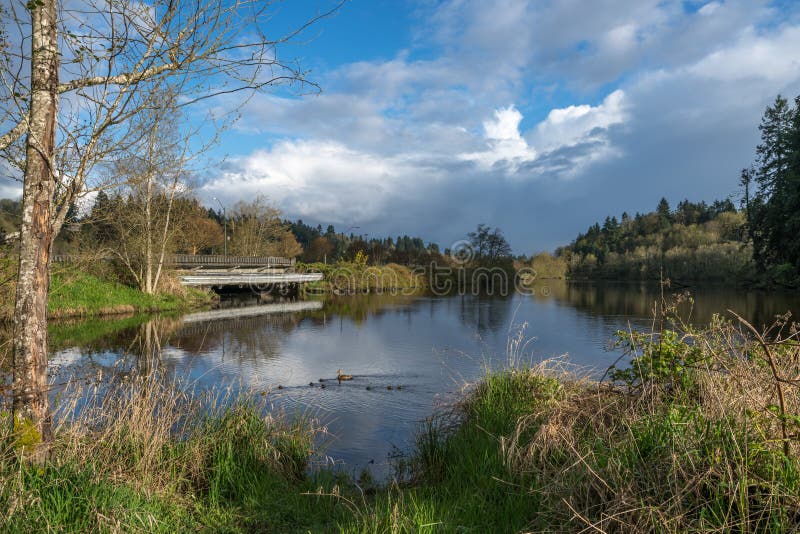 Washington Cove Olympia Stock Photos Free & RoyaltyFree Stock Photos