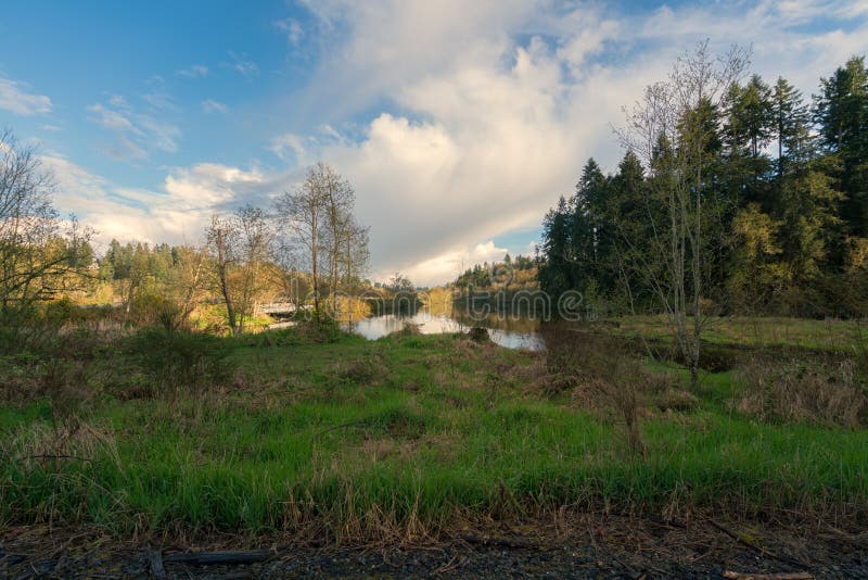 Cove Olympia Washington Photos Free & RoyaltyFree Stock Photos from