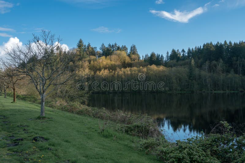 Washington Cove Olympia Stock Photos Free & RoyaltyFree Stock Photos