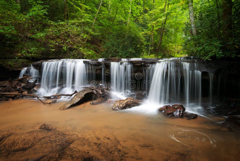 Peaceful Forest Waterfalls Landscape