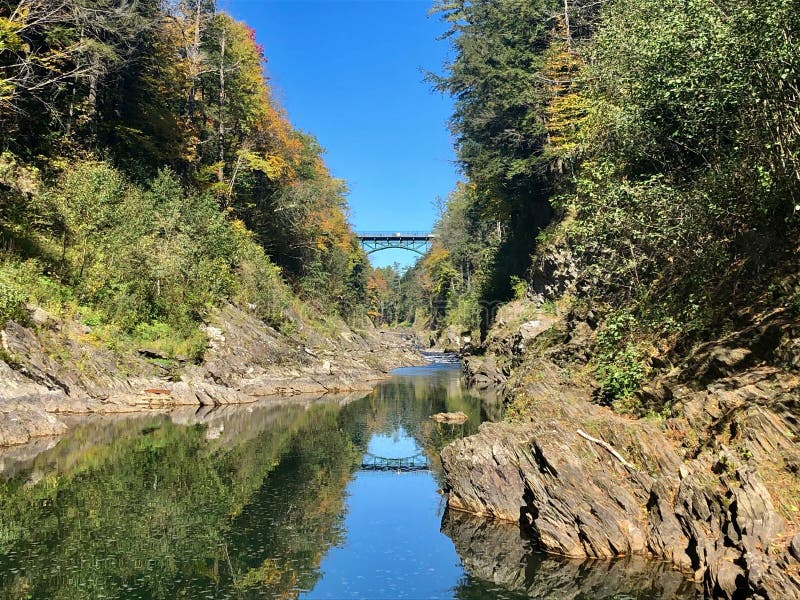 A Tranquil Lake in the Middle of Trees Stock Photo Image of still
