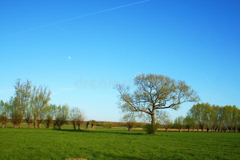 Peaceful landscape stock photo