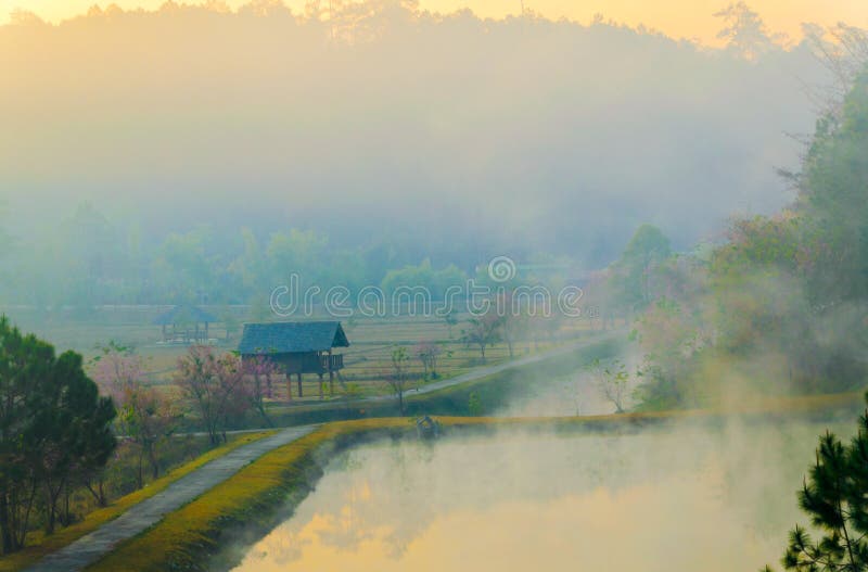 Peaceful natural pond in morning at Galyani Vadhana District