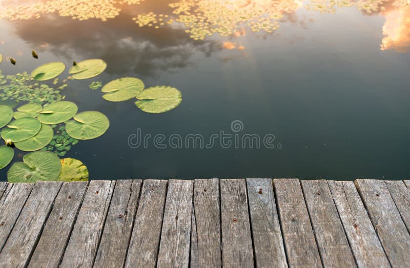 Peaceful place at the pond royalty free stock photography Peaceful place at the pond royalty free stock photography