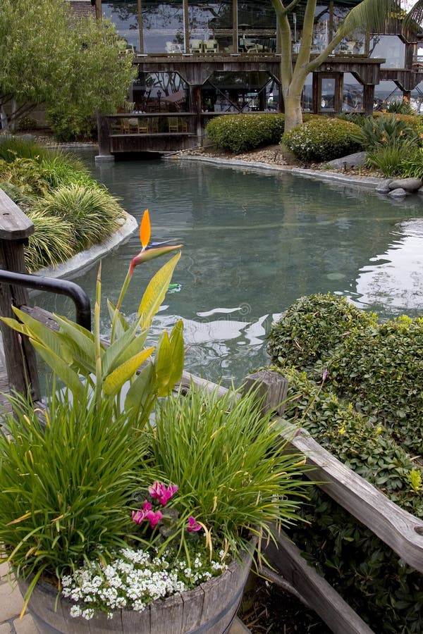 Peaceful Pond royalty free stock photography Peaceful Pond royalty free stock photography