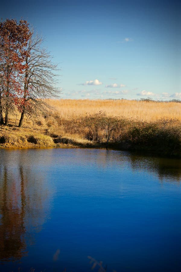 Peaceful Pond stock image. Image of beautiful, outdoors 62797437