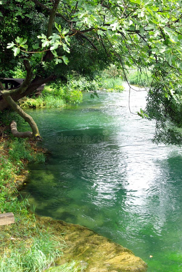 Vista di un magnifico fiume tranquillo nel parco delle cascate Krka in Croazia.