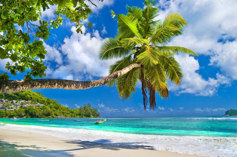 Tropical beach - Amazing Seychelles island. Seychelles stock images, royalty-free photos and pictures