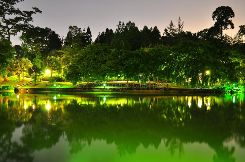 Peaceful Singapore Botanical Garden pond by night