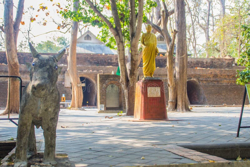 Peaceful surrounding at Wat Umong Suan Puthatham, a 700-year-old Buddhist temple in Chiang Mai, Thailand. Wat Umong is famous Budd royalty free stock photos Peaceful surrounding at Wat Umong Suan Puthatham, a 700-year-old Buddhist temple in Chiang Mai, Thailand. Wat Umong is famous Budd royalty free stock photos