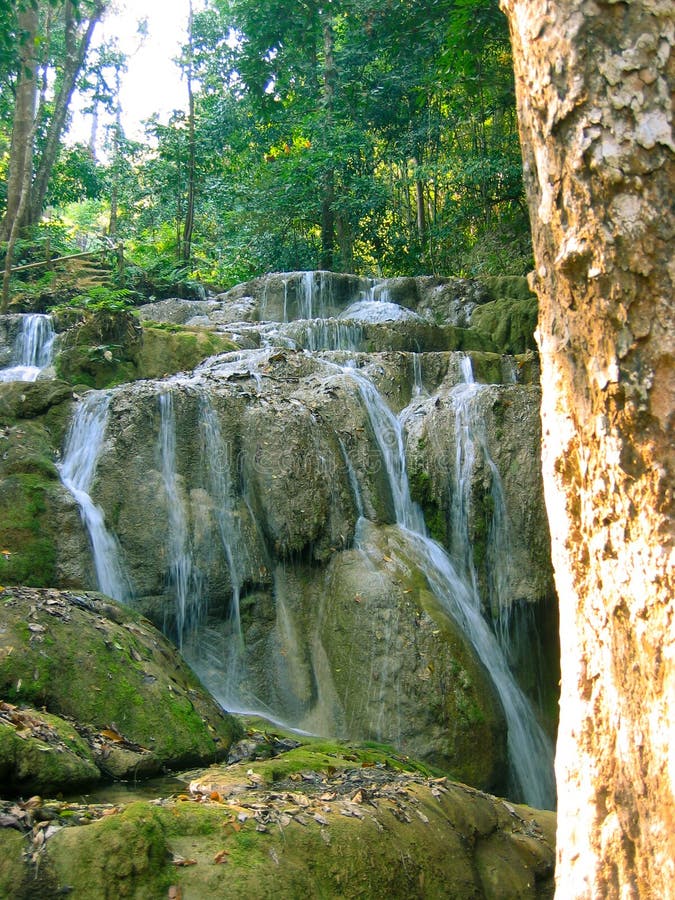 Peaceful Waterfall in Forest