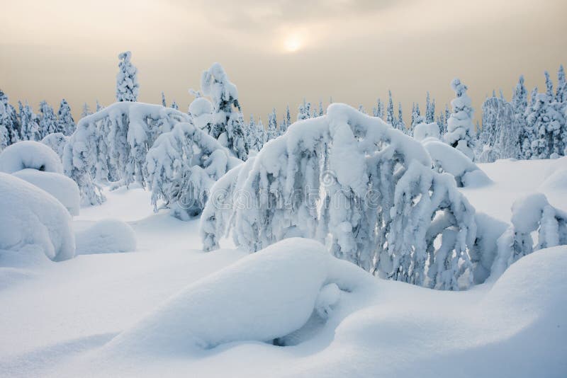 150,096 Peaceful Winter Stock Photos - Free & Royalty-Free Stock