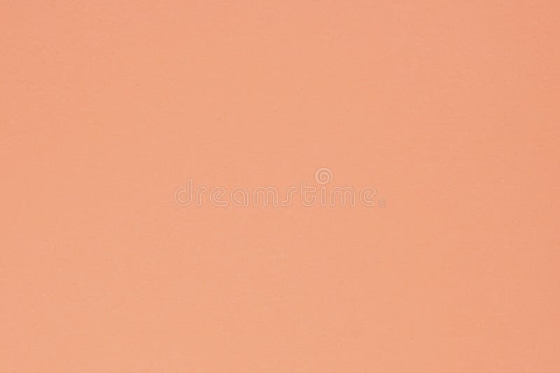 Peach Color Cardboard Surface. Vertical Peachy Background with a