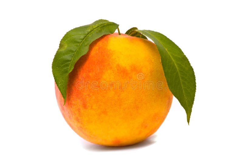 Single peach stock image. Image of food, foliage, cuisine 5859851