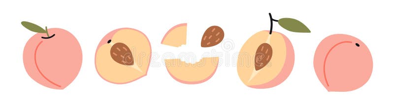 Peach fruit set. Jumătate întreagă cu o groapă și o bucată. Ilustrație vectorială izolată pe fond plat desenat cu mâna de fundal a royalty free illustration