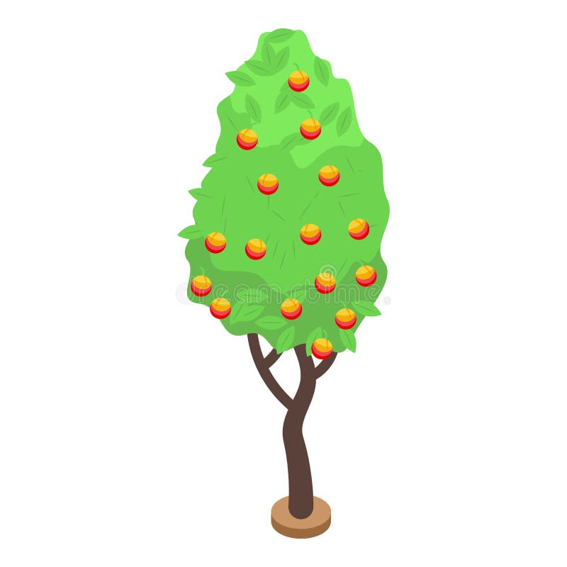 Peach Tree Isometric Stock Illustrations 45 Peach Tree Isometric