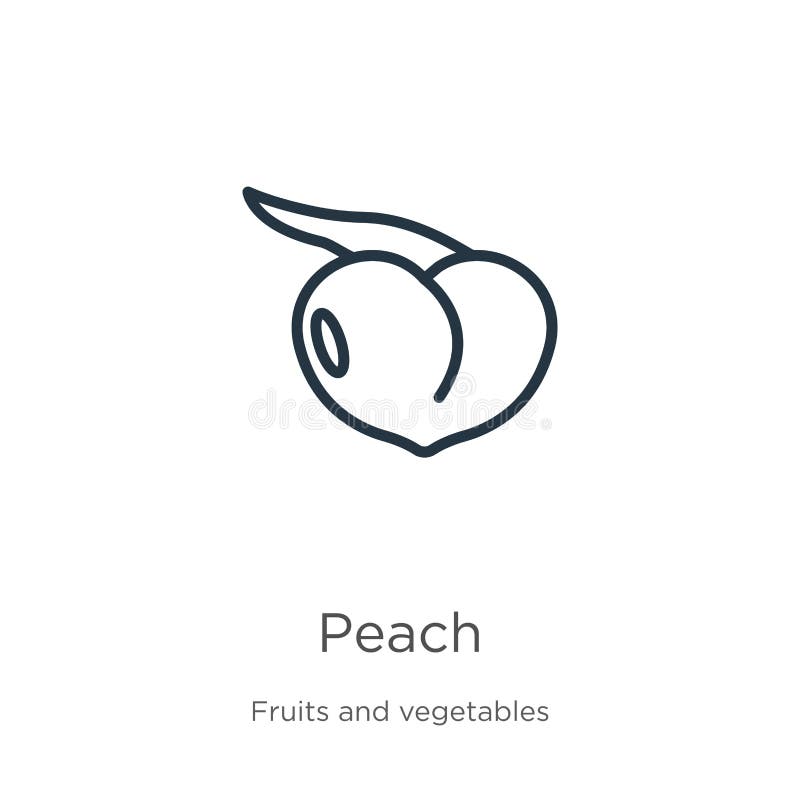 Peach Icon 果实收藏白背景中突显的细线桃轮廓图标线矢量桃符号 符号向量例证 插画包括有甜甜 桃子 Peach Icon 果实收藏白背景中突显的细线桃轮廓图标线矢量桃符号 符号向量例证 插画包括有甜甜 桃子