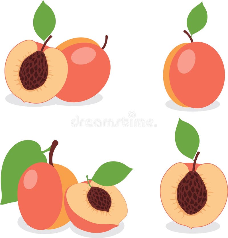Peach. Set Peaches, Pieces and Slices Stock Vector Illustration of