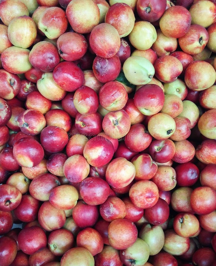 Wild peach stock photo. Image of heap, buyer, greenstuff 118717516