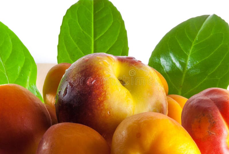 Peaches And Apricots In Basket Stock Image Image of nectarines, rural